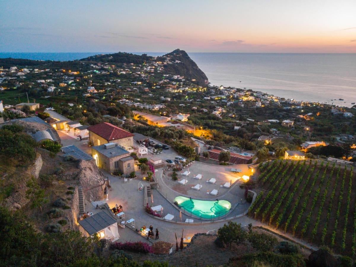 Tenuta C'est La Vie Forio di Ischia