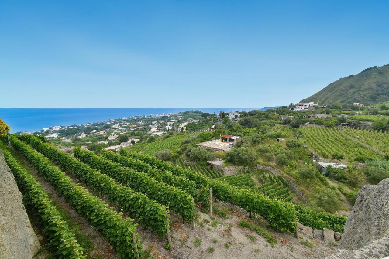 Tenuta C'est La Vie Resort 2*